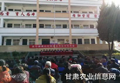 徽县产业扶贫举措实贫困户入股分红见成效