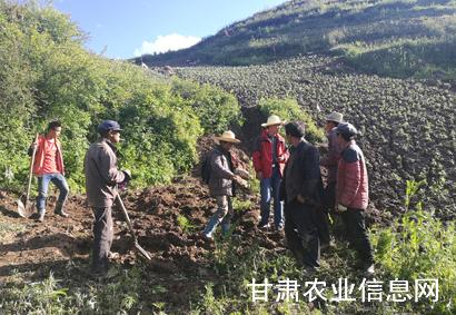老实人踏实做事“村里人”真心帮扶
