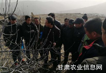 甘谷县新型职业农民培育工程省厅督导队示范性培训圆满完成