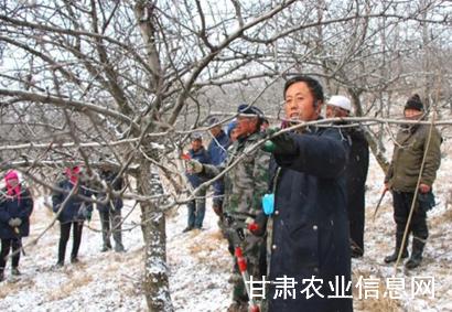 扶贫车间建地头 就业脱贫有奔头