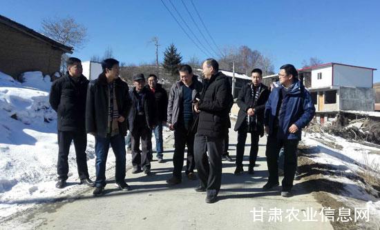 省农业农村厅党组成员杨祁峰深入礼县帮扶村开展慰问活动