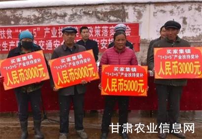 和政县实施“1+3+5”产业扶持工程成效显著