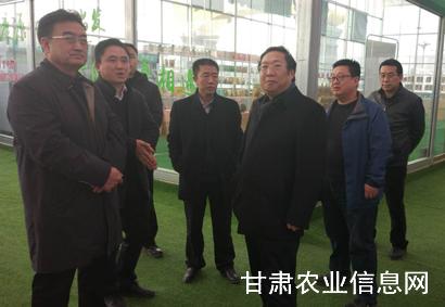 省农业农村厅督查2019年春节前农产品质量安全监管工作