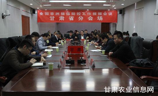 省防制重大动物疫病指挥部召开全省非洲猪瘟防控工作视频会议