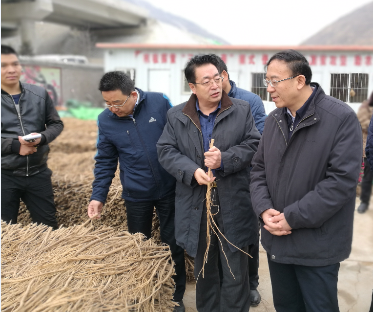 副省长李沛兴调研宕昌县脱贫攻坚工作