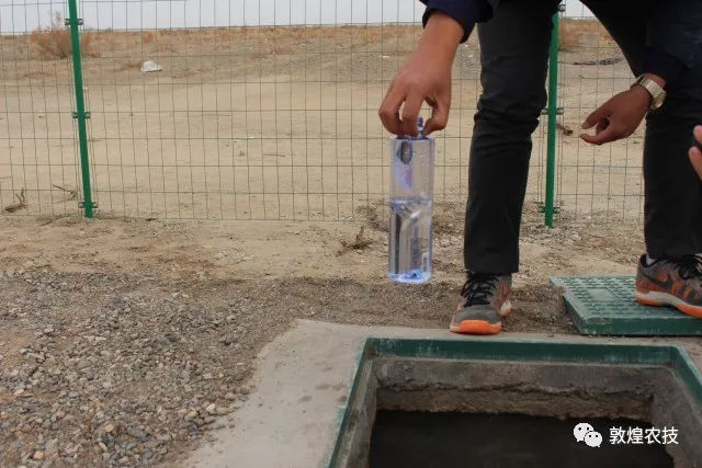 敦煌市首个农村生活污水景观化生态处理示范点运行效果良好