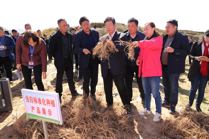 中药材种植成为我省贫困地区脱贫主导产业