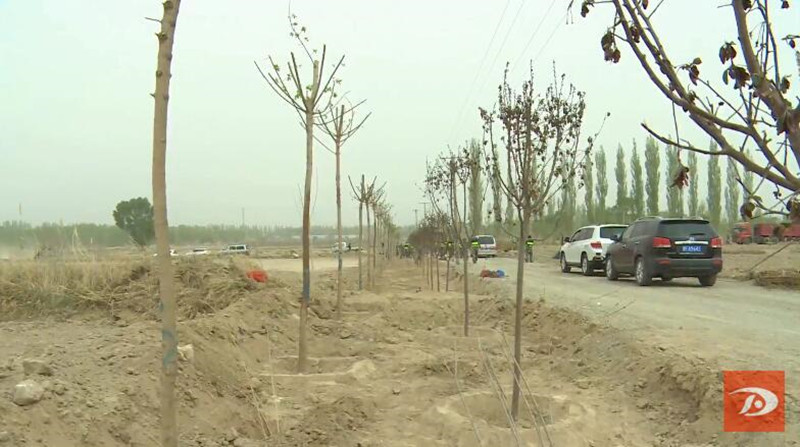 敦煌市千名干部职工义务植树 为农业中心园区建设添新绿