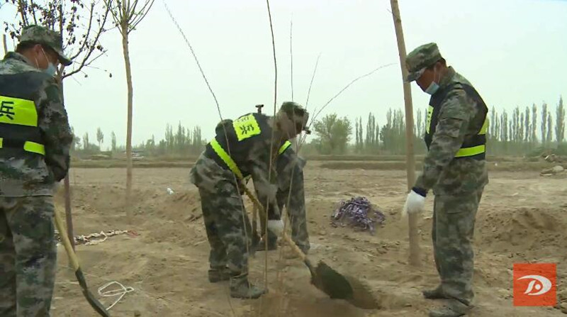 敦煌市千名干部职工义务植树 为农业中心园区建设添新绿