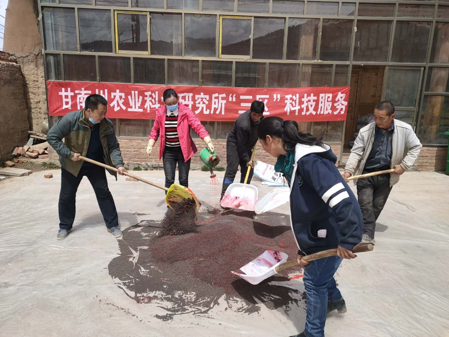 甘南州农科所科技特派员服务“三农”
