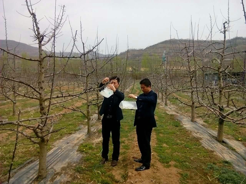 天水市积极开展农业有害生物疫情监测工作