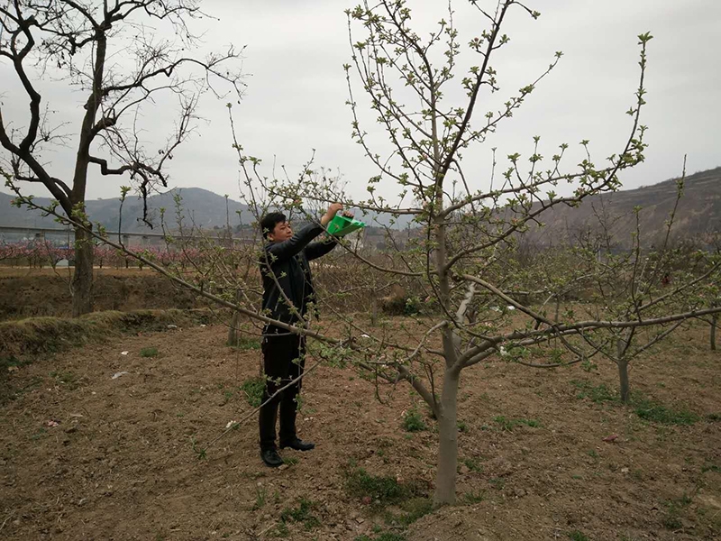 天水市积极开展农业有害生物疫情监测工作
