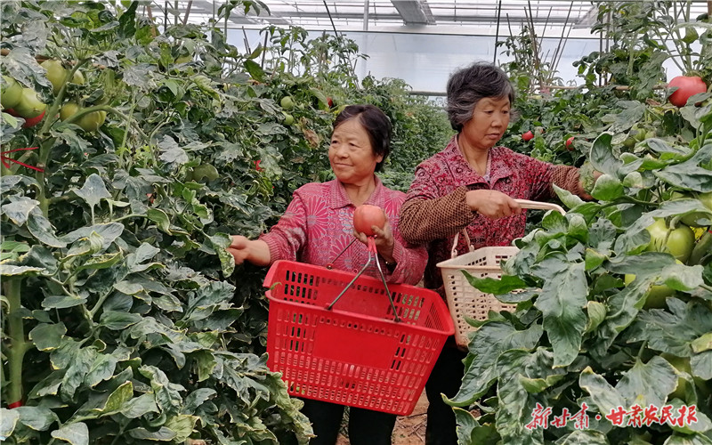 秦州区借明星效应让农产品走的更远