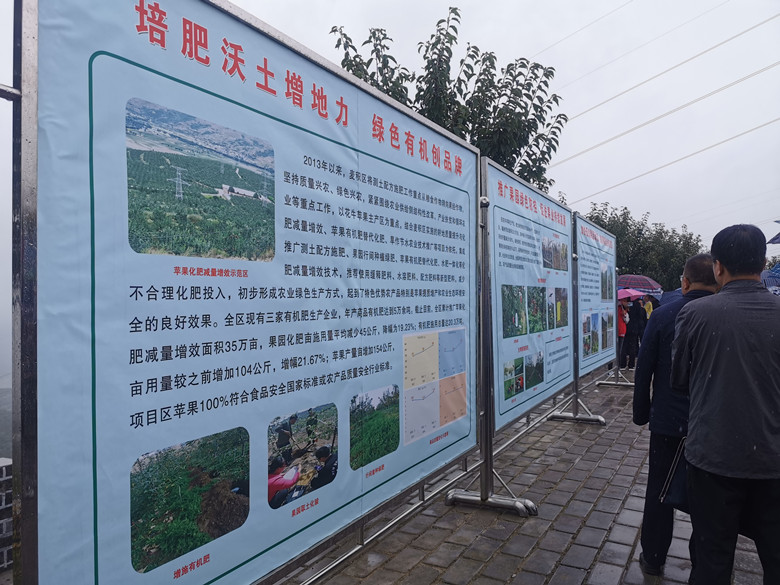 苹果有机肥替代化肥项目助力麦积区九龙山苹果基地建设