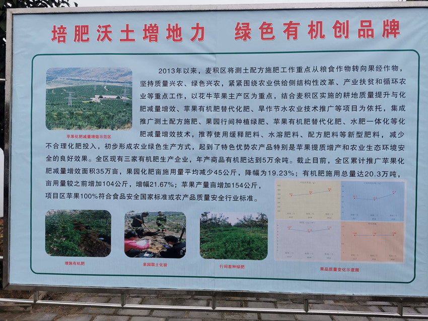 苹果有机肥替代化肥项目助力麦积区九龙山苹果基地建设
