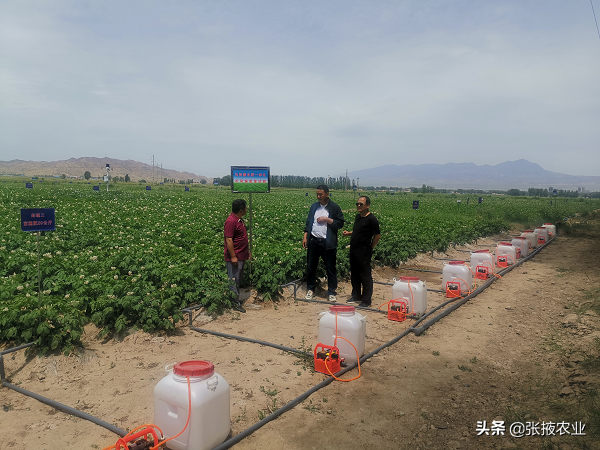 张掖市耕管站：规范土肥水试验示范研究加速农业科技成果转化