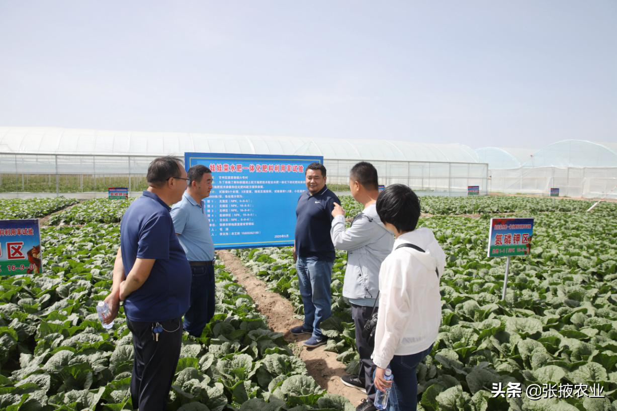 张掖市耕管站：规范土肥水试验示范研究加速农业科技成果转化