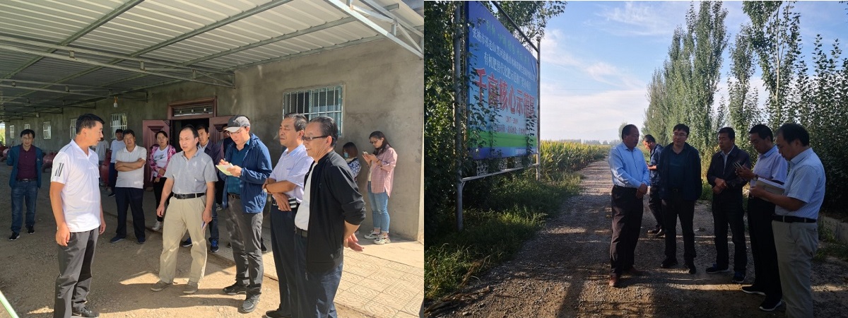 农业农村部耕地质量监测保护中心调研张掖市高标准农田耕地质量监测评价工作