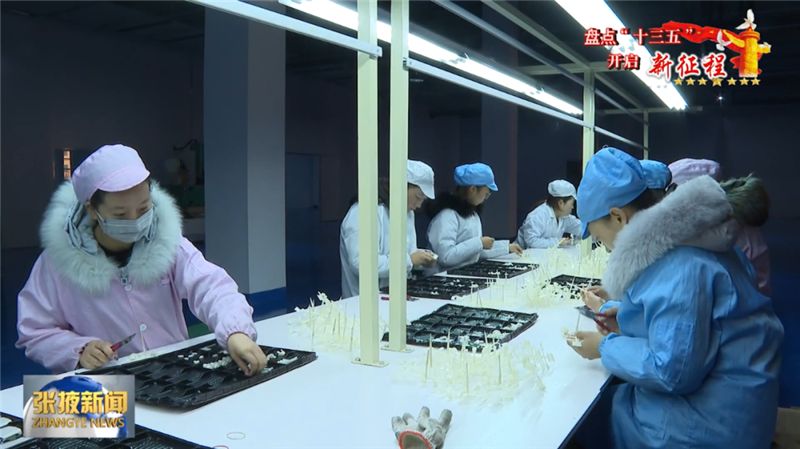 张掖：科技创新激发企业发展活力