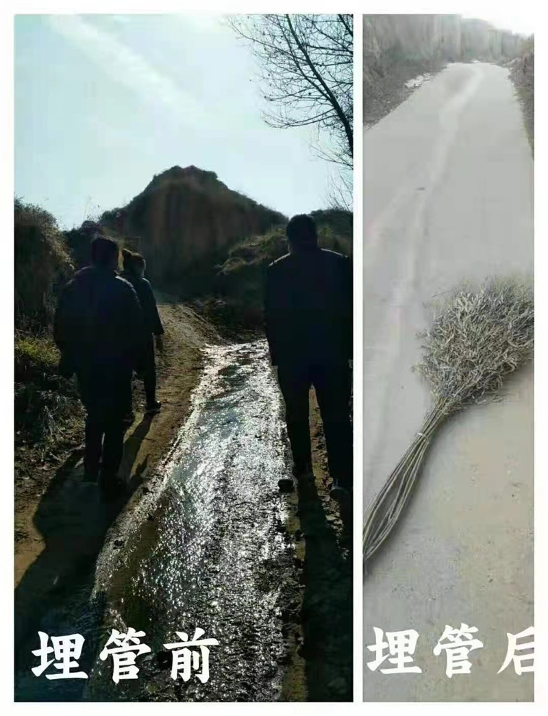 用“天使之心”感受泥土温度