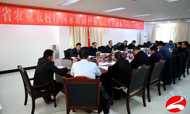 省农业农村厅国家级制种基地建设情况临泽调研座谈会召开