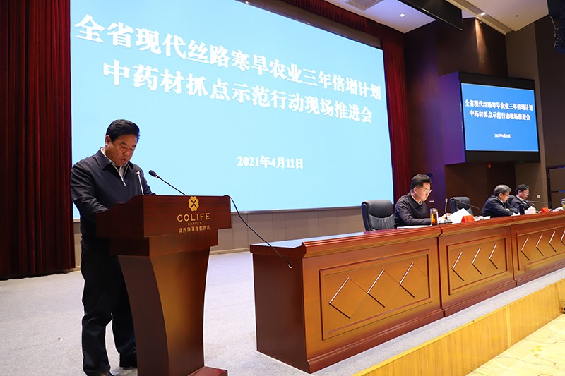 陇西县规模化布局引领中药材基地建设
