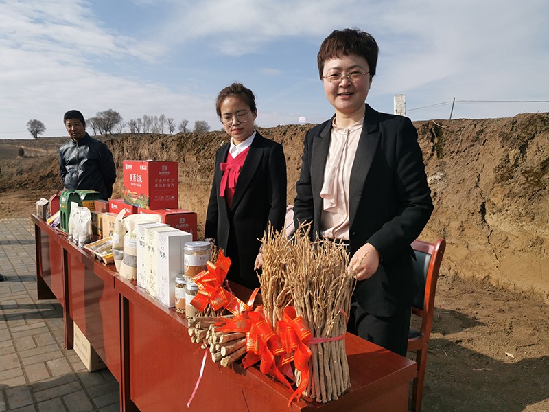 陇西县实现中药材基地化肥和农药“双减”