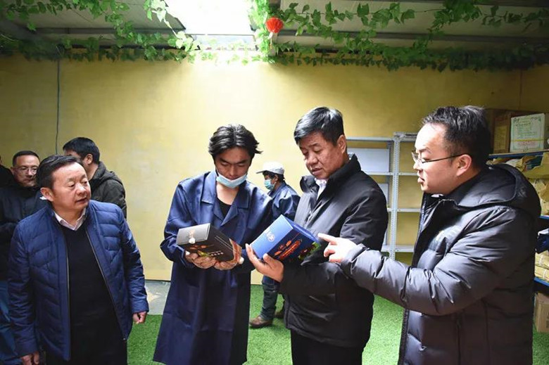 甘南州副州长梁维吉调研合作市重点工作