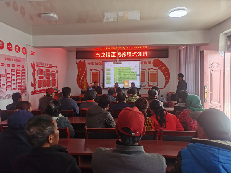 麦积区畜牧中心开展精准扶贫户蛋鸡养殖培训班