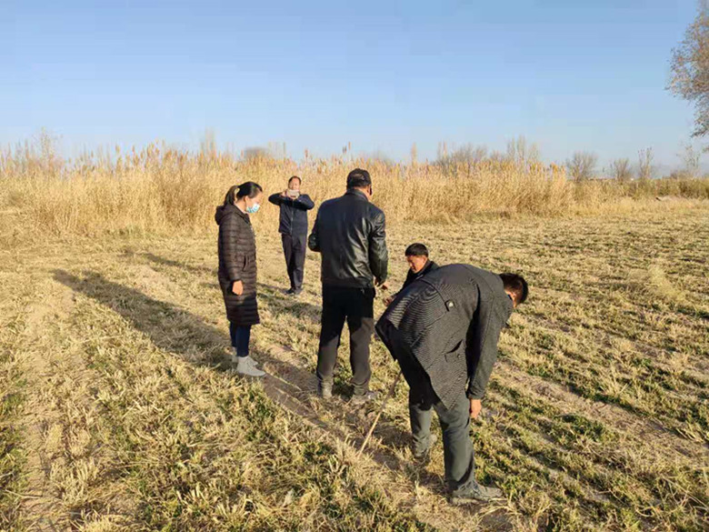 敦煌市绿色生态化养殖铺就致富路