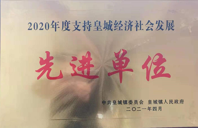 省绵羊站：以绵羊繁育技术推广为纽带让民族团结之花在草原盛开