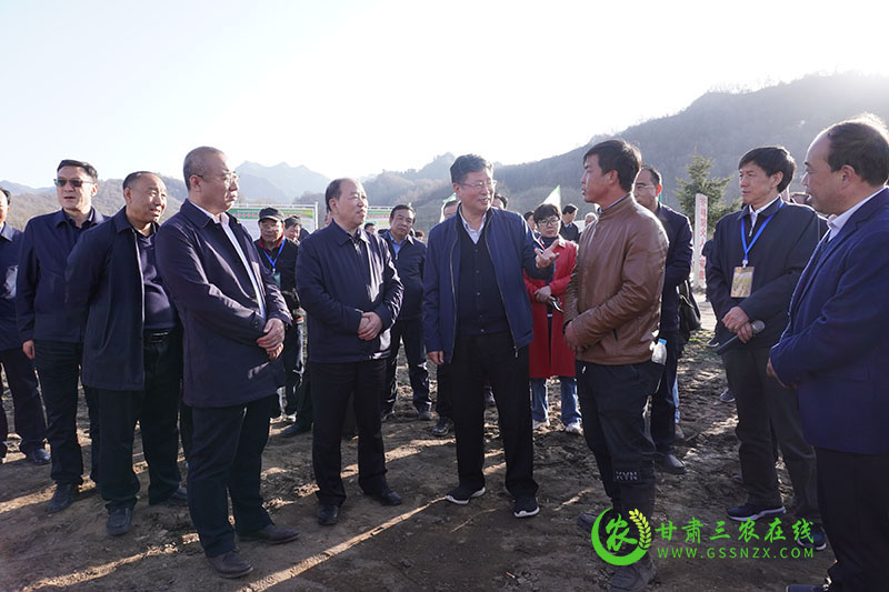 全省马铃薯绿色标准化基地建设现场推进会在定西召开