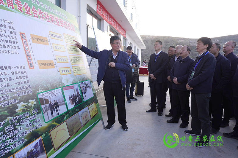 全省马铃薯绿色标准化基地建设现场推进会在定西召开