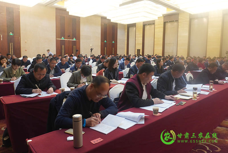 全省马铃薯绿色标准化基地建设现场推进会在定西召开