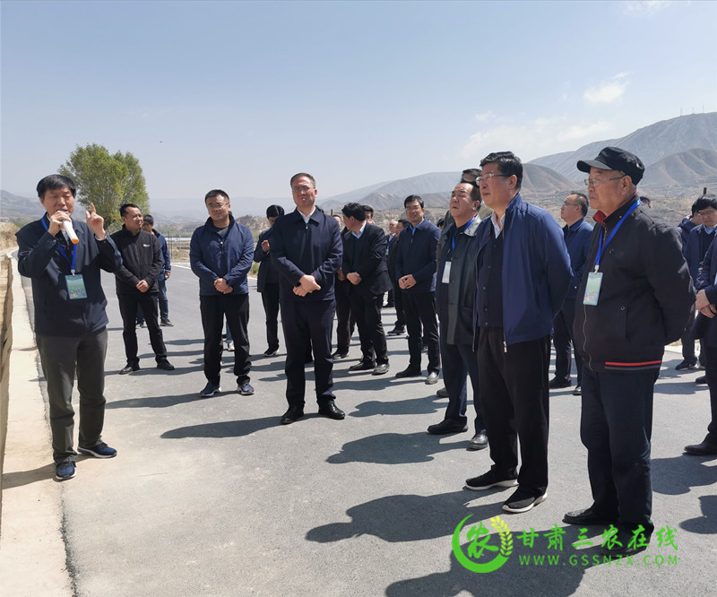 甘肃农业三年倍增行动马铃薯产值将达到400亿