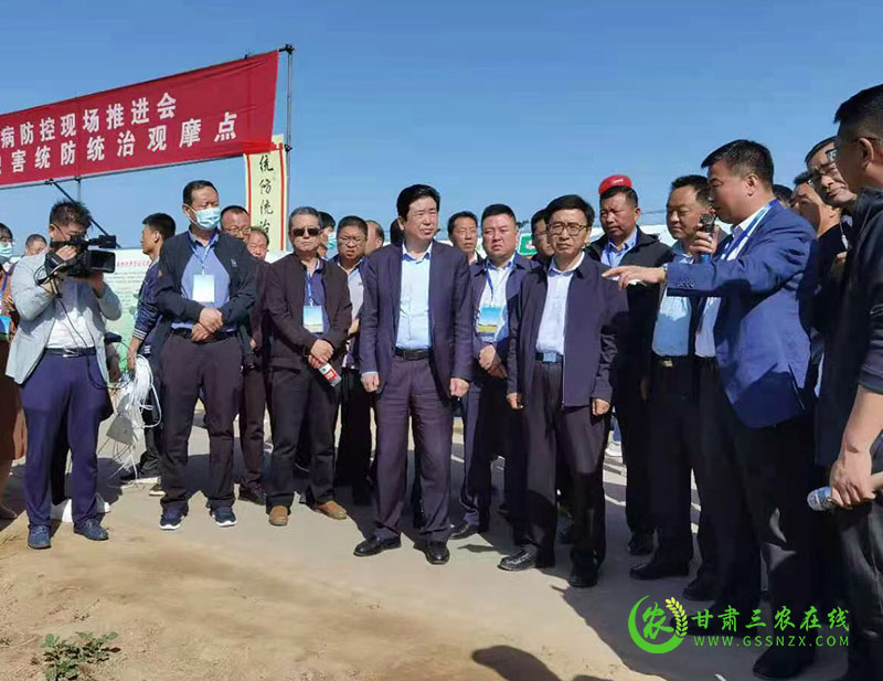 全省小麦条锈病防控现场推进会在庆阳市召开