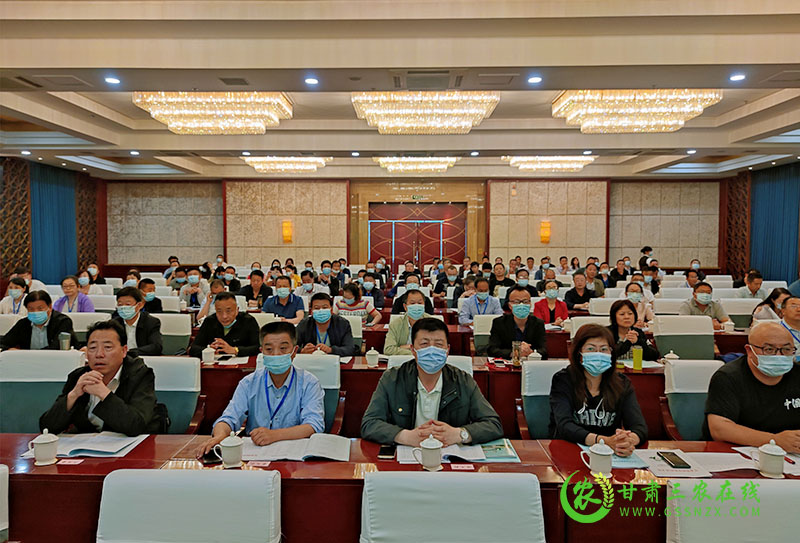 全省小麦条锈病防控现场推进会在庆阳市召开