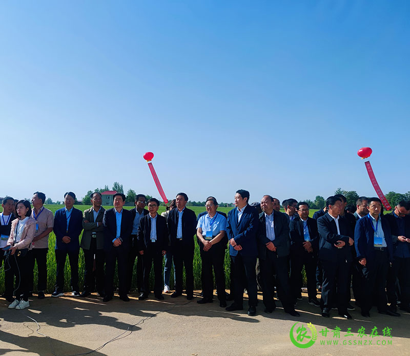 全省小麦条锈病防控现场推进会在庆阳市召开