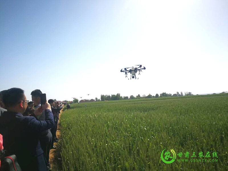 全省小麦条锈病防控现场推进会在庆阳市召开