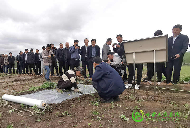 今年我省在32个县市区推广旱作节水农业技术62万亩