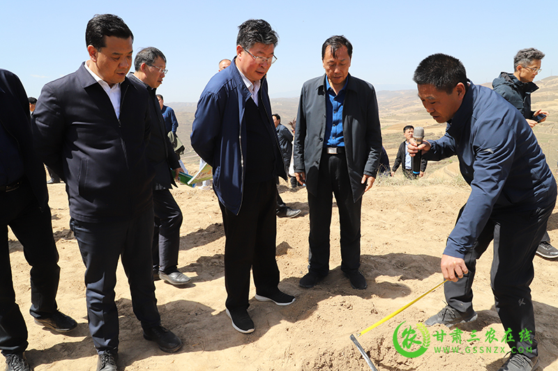 省耕保总站助力安定区水肥一体化上山旱塬变成薯粮川
