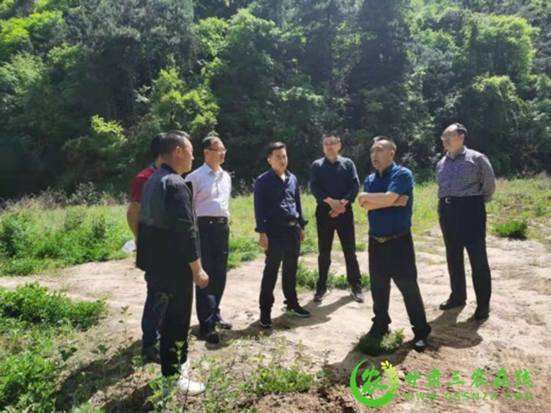 天水市畜牧局督查麦积区生猪生产工作