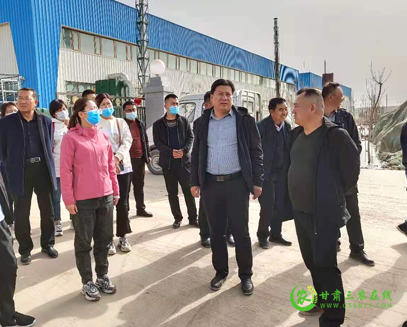 肃州区多措并举全面开展废旧农膜回收利用工作