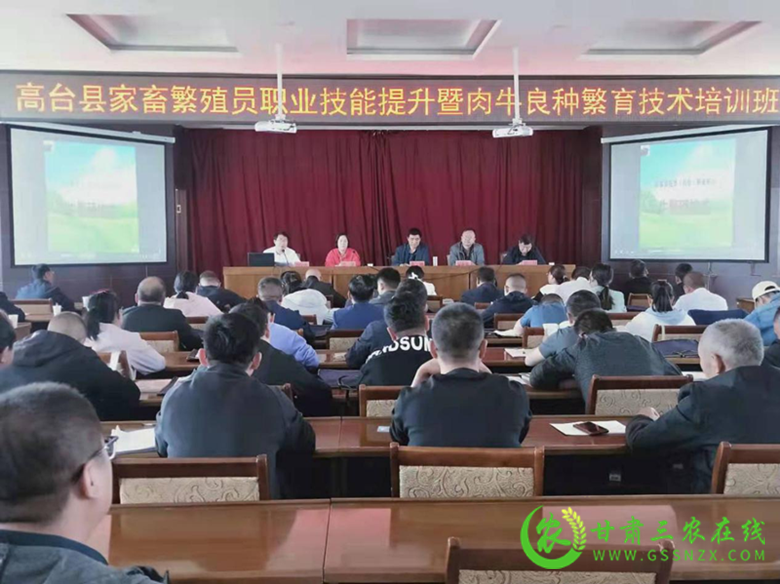 省畜牧总站在高台县举办家畜繁殖员职业技能提升培训班