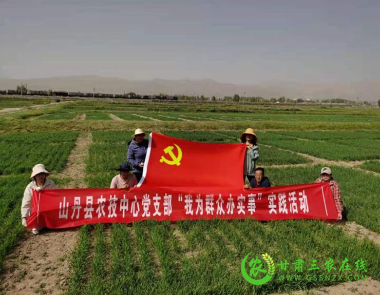 山丹县农技中心党史学习担使命田间地头践初心