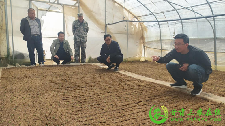 张掖市乡村振兴马铃薯产业专家服务团现场指导提高马铃薯生产技术