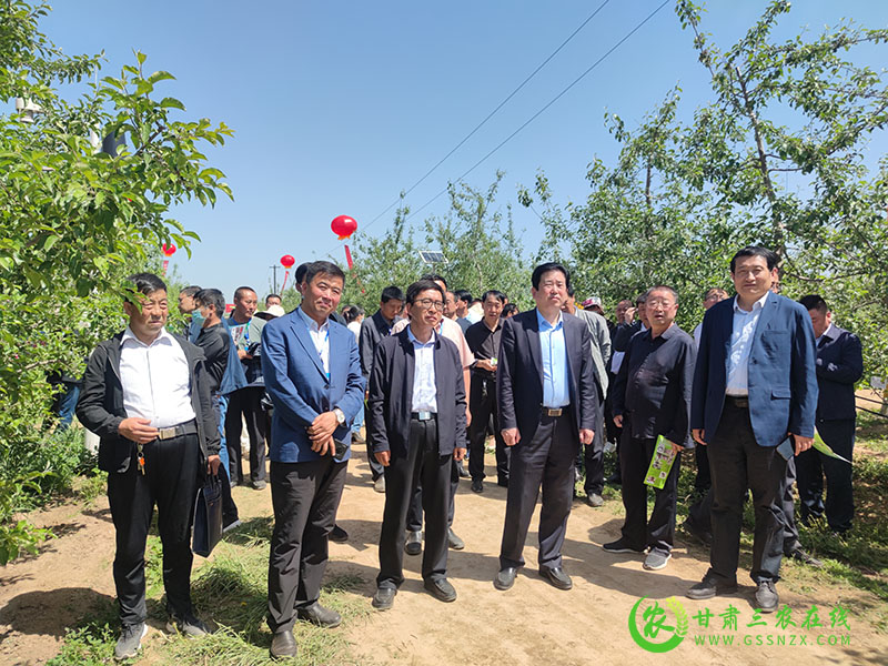 全省小麦条锈病防控现场推进会在庆阳市召开
