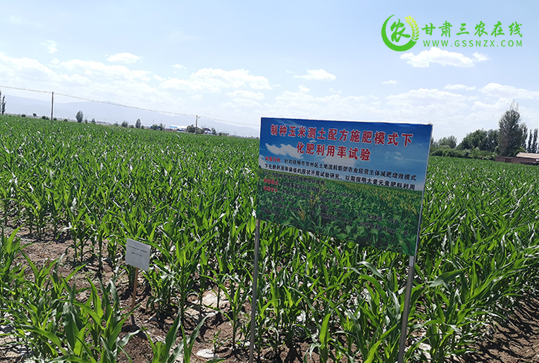 甘州区开展旱作节水农业技术宣传培训扩大示范推广力度