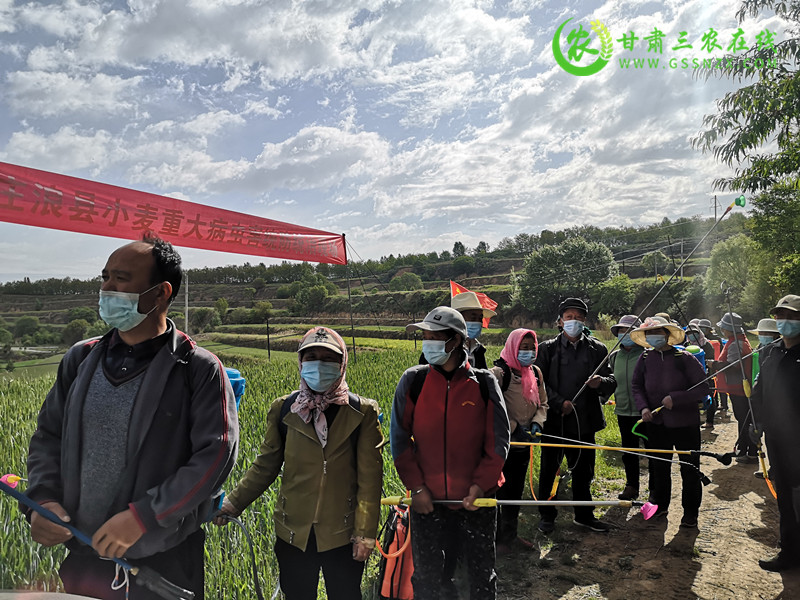 庄浪县农技中心举办小麦重大病虫害统防统治现场会
