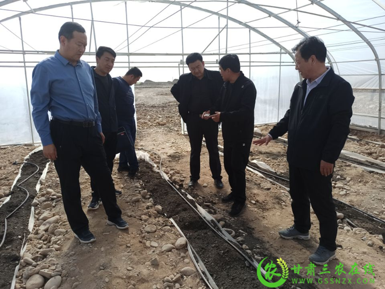 酒泉市农业技术推广服务中心以党史学习教育为抓手聚合力为群众帮办实事